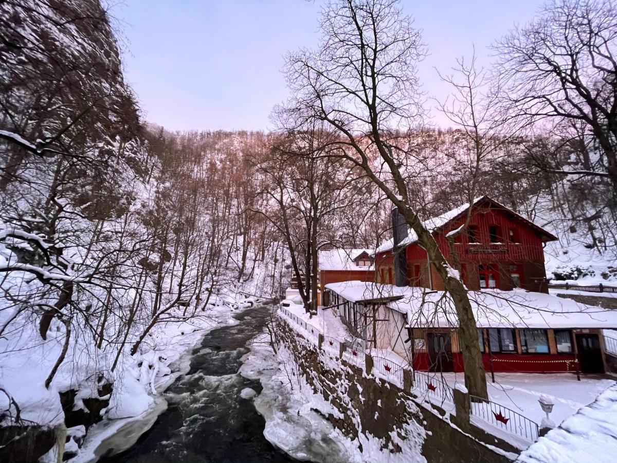 Gasthaus Koenigsruhe 탈레 외부 사진